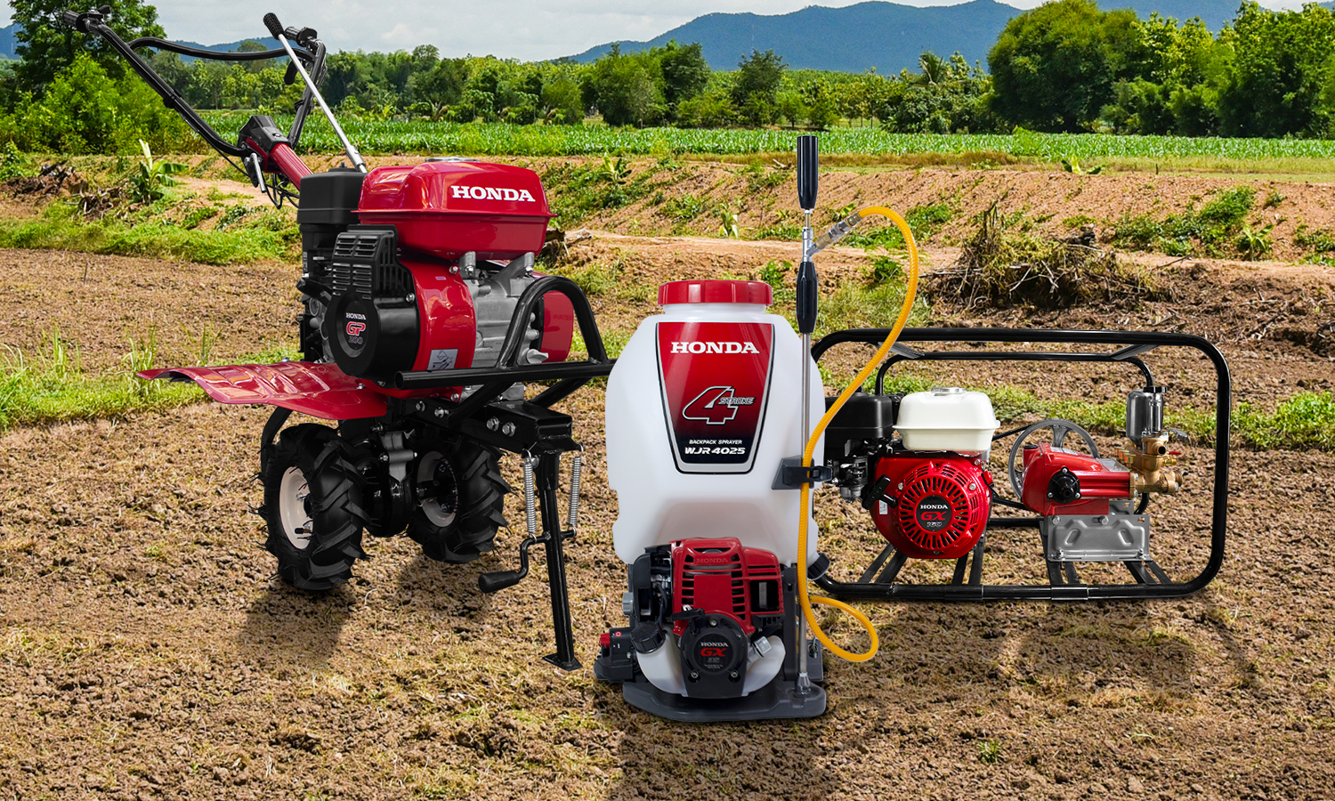 Nuevo Cuadro Agro 1